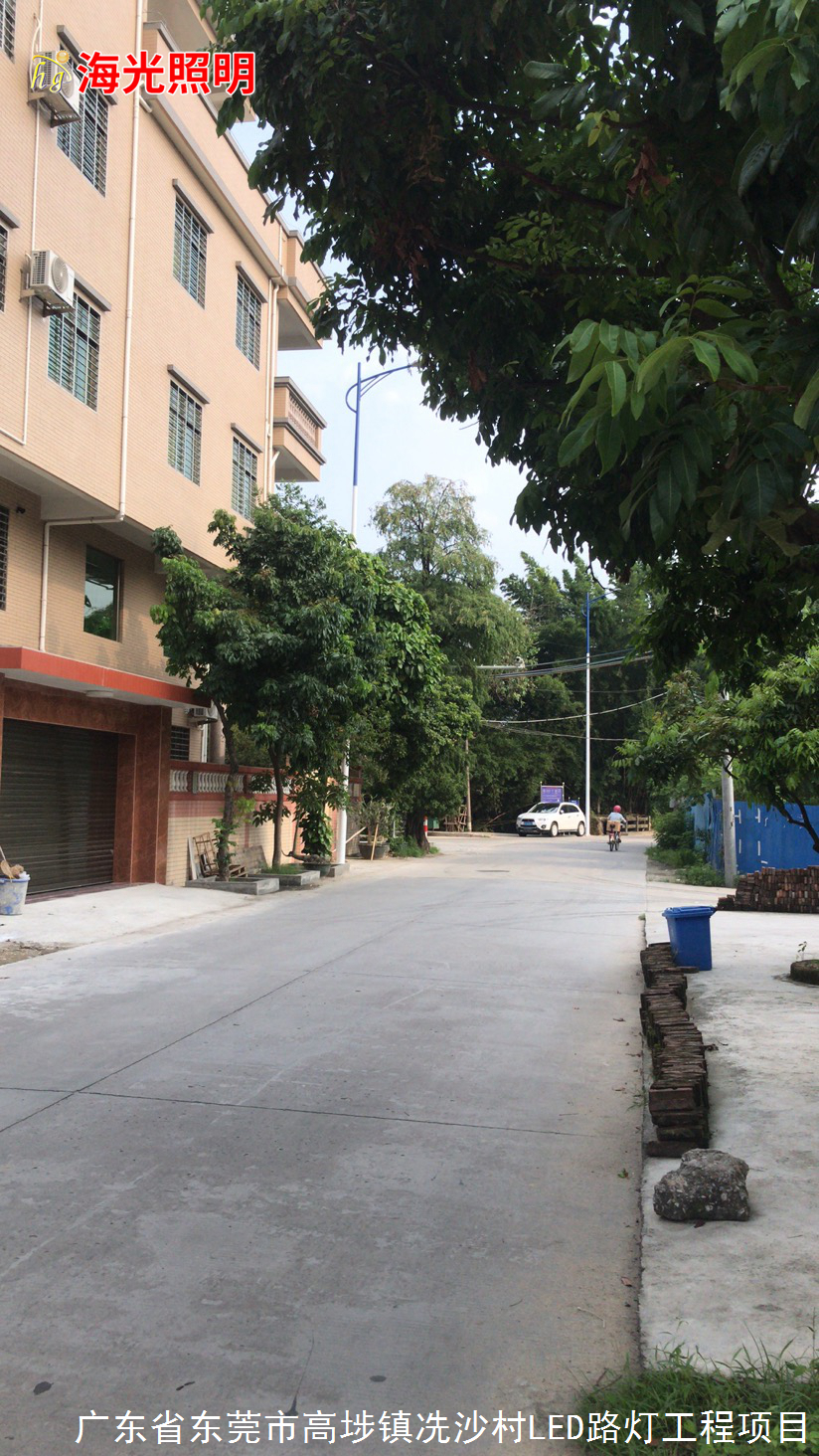 广东省东莞市高埗镇冼沙村LED路灯照明工程项目