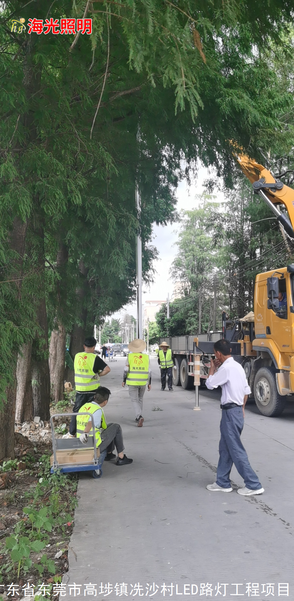 广东省东莞市高埗镇冼沙村LED路灯照明工程项目