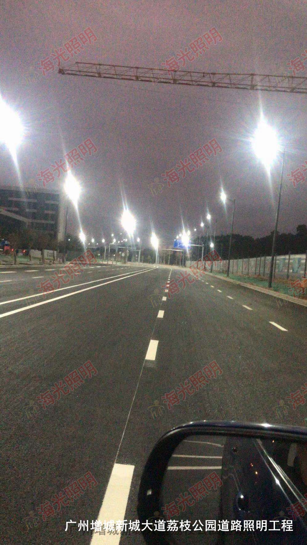 广州增城新城大道荔枝公园道路照明工程
