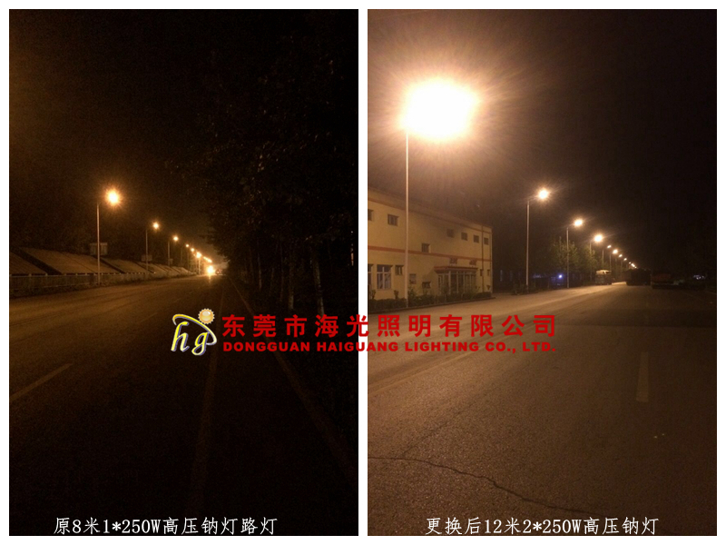 厂区主干道路路灯夜晚点亮效果图